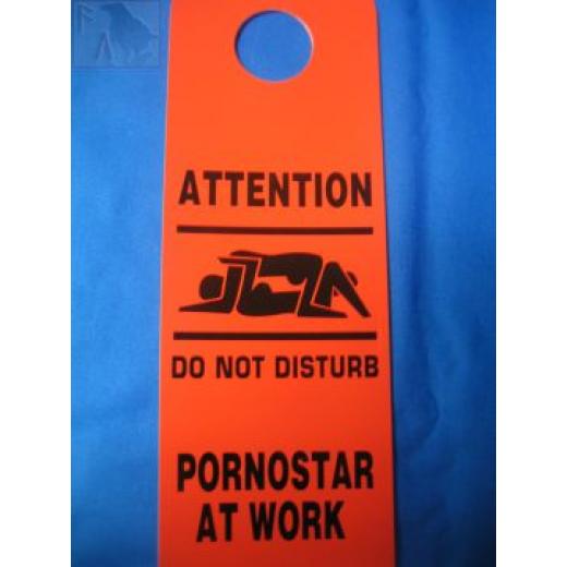 Pornostar at Work (Türschild)