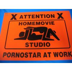 Pornostar at Work /Türschild)
