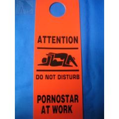 Pornostar at Work (Türschild)